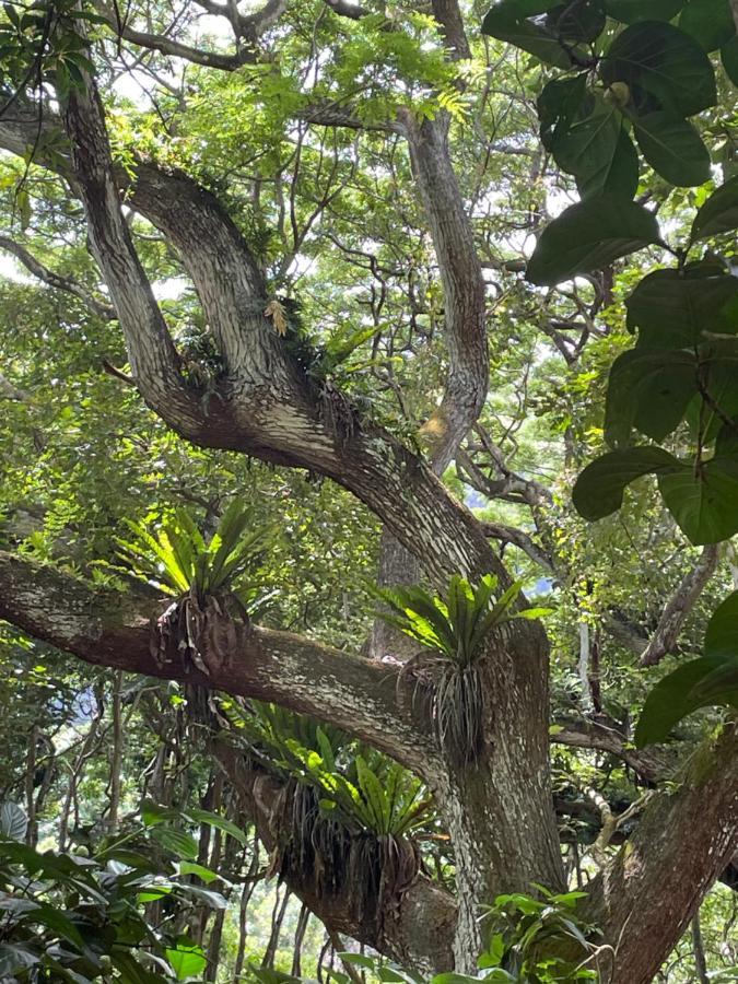 Appartamento Ka Hale Kealoha Kaunakakai Esterno foto