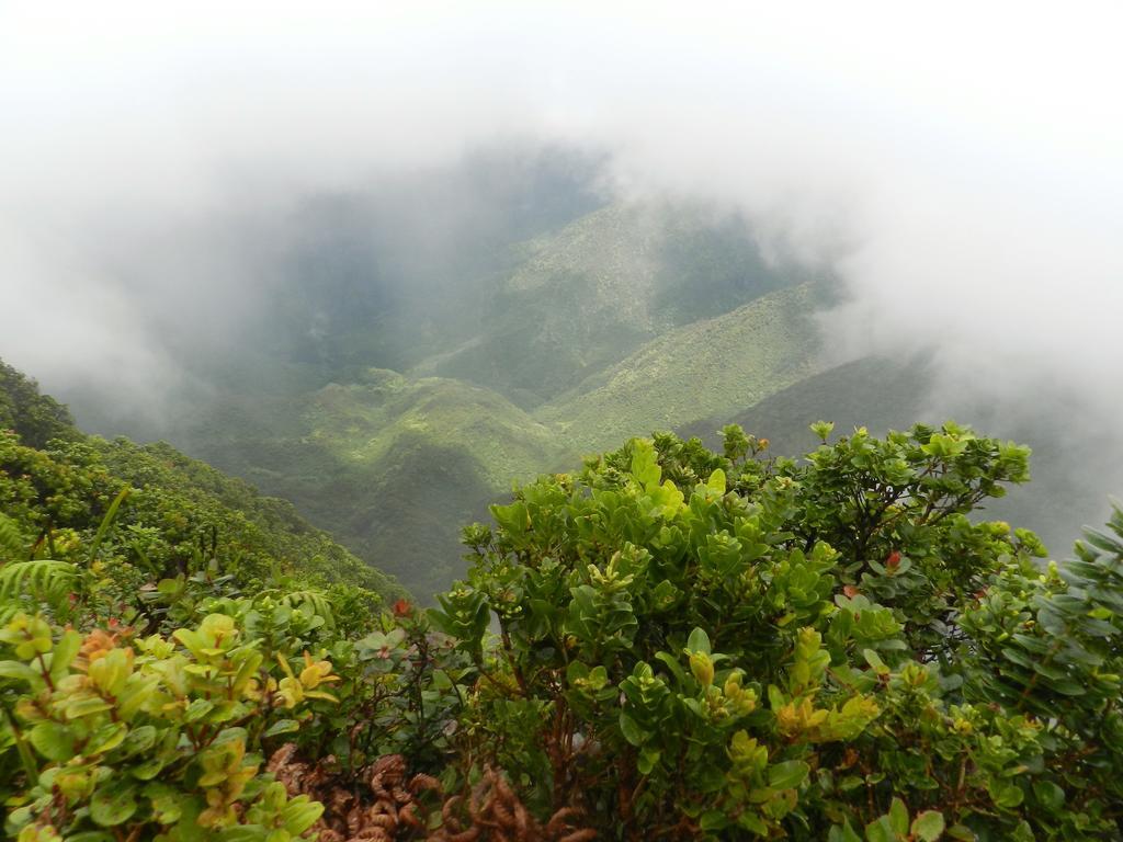 Appartamento Ka Hale Kealoha Kaunakakai Esterno foto